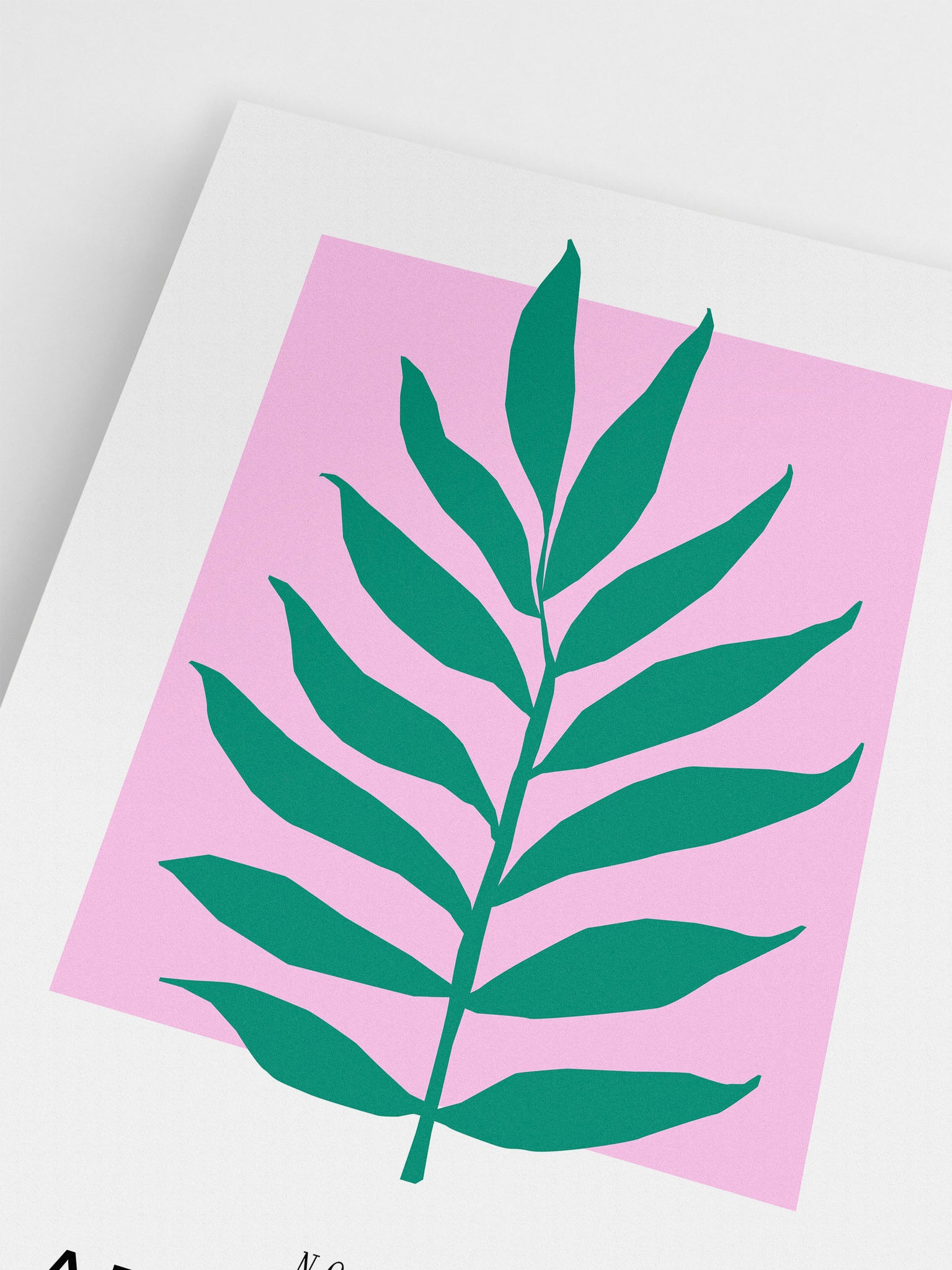 Pink & Green Plant
