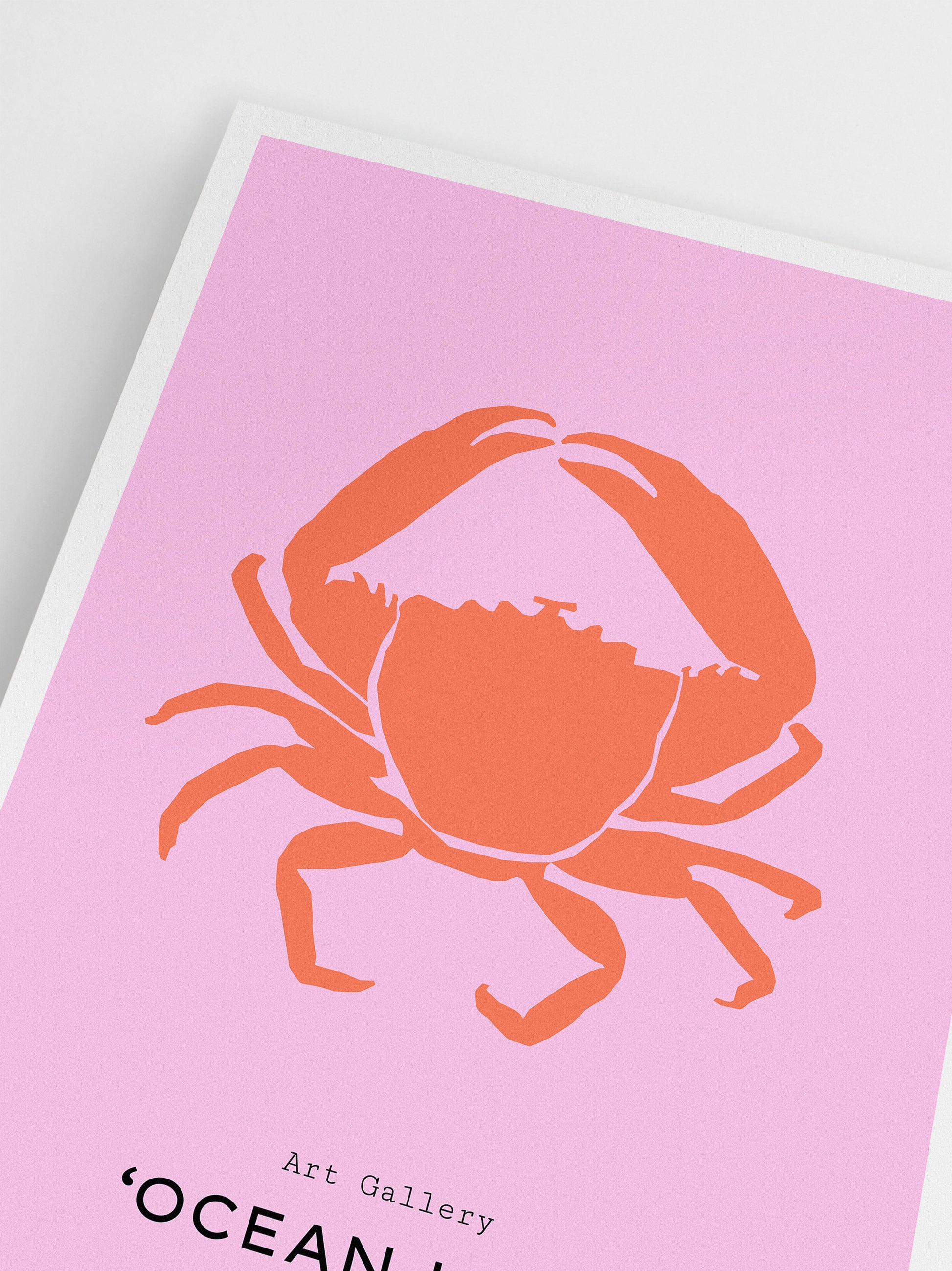 Ocean Life: Crab