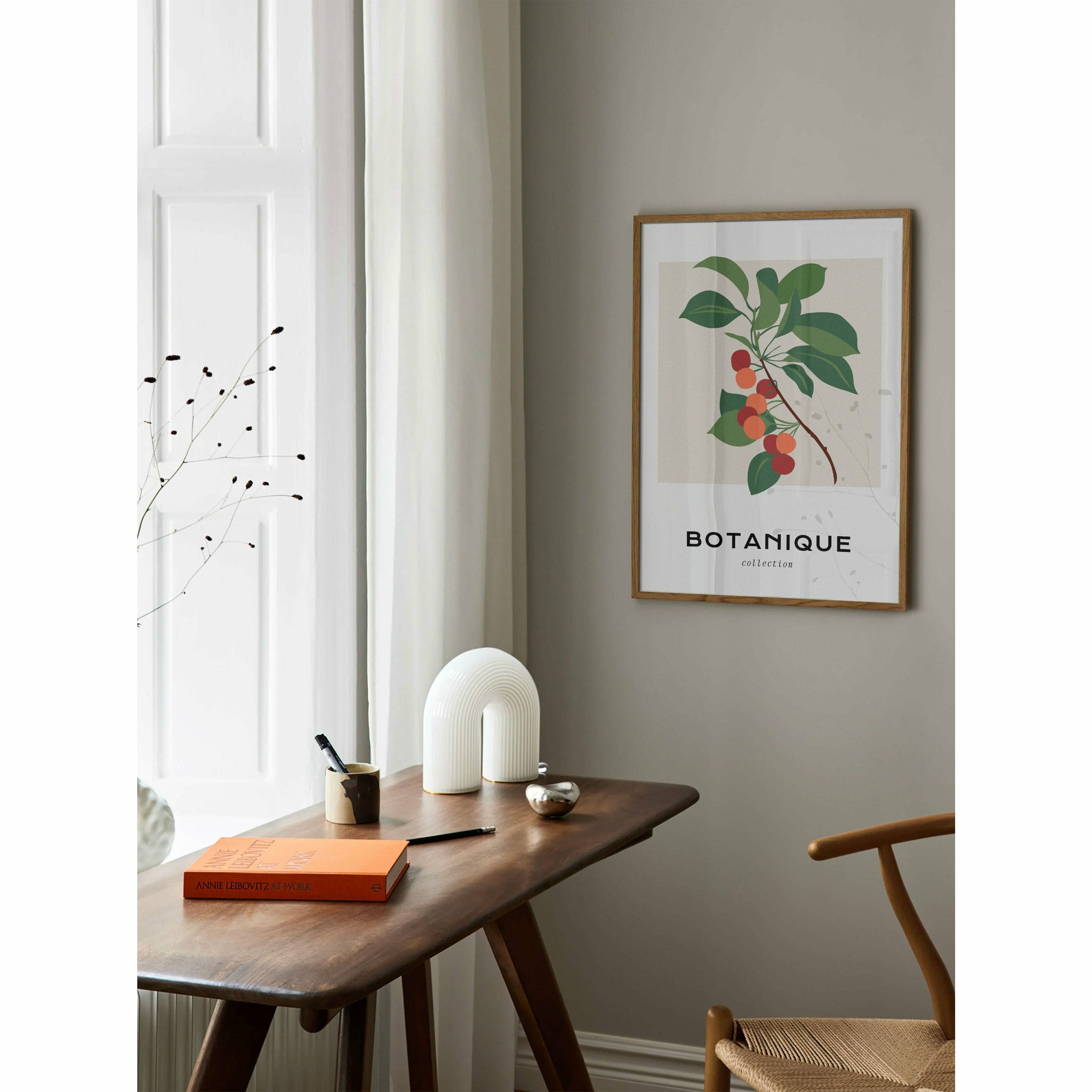 Botanical Cherry Poster
