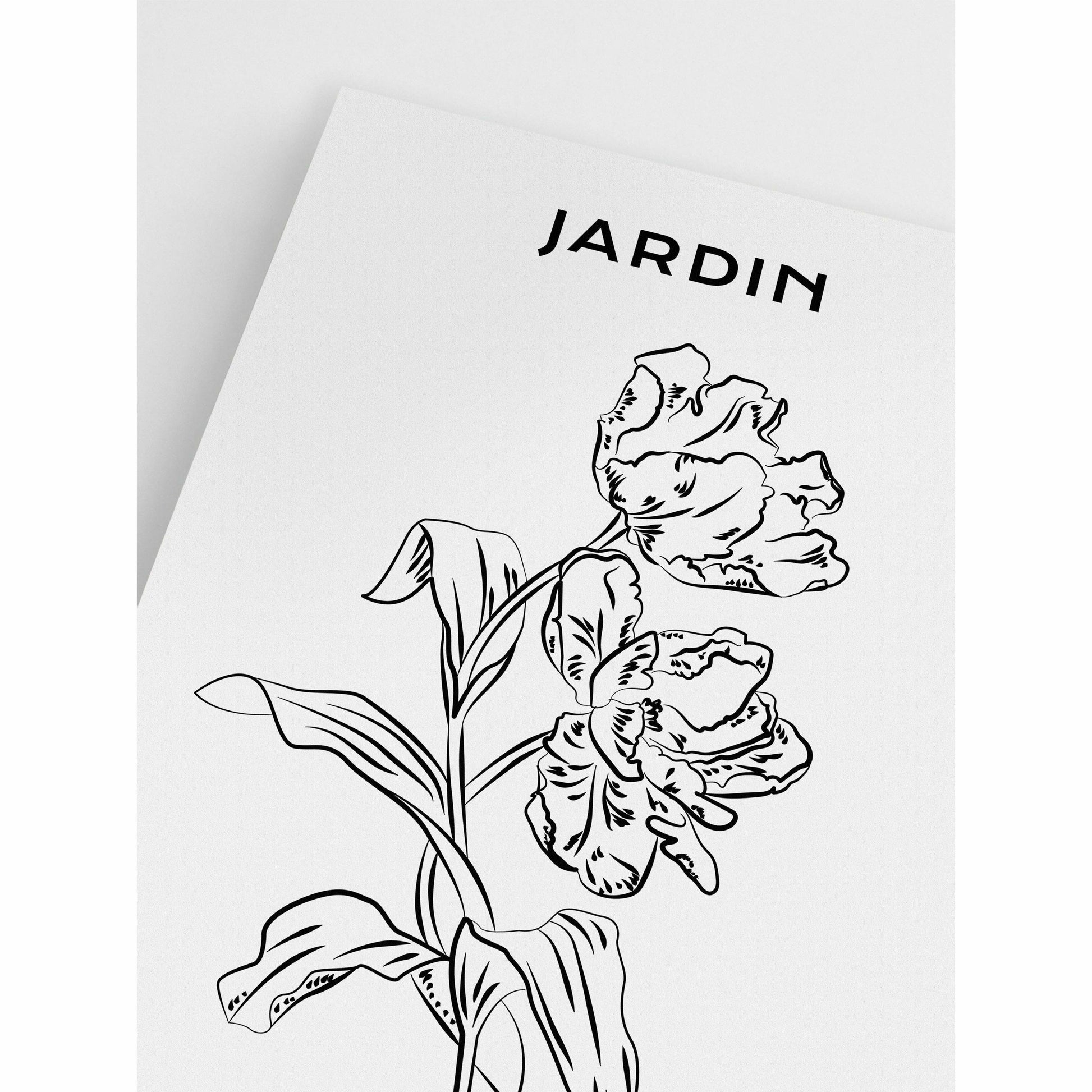 Jardin- Peonies