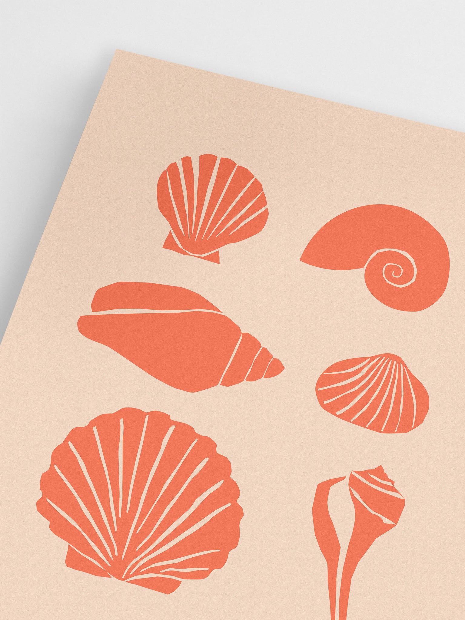 Minimalist Shell Drawing Wall Art