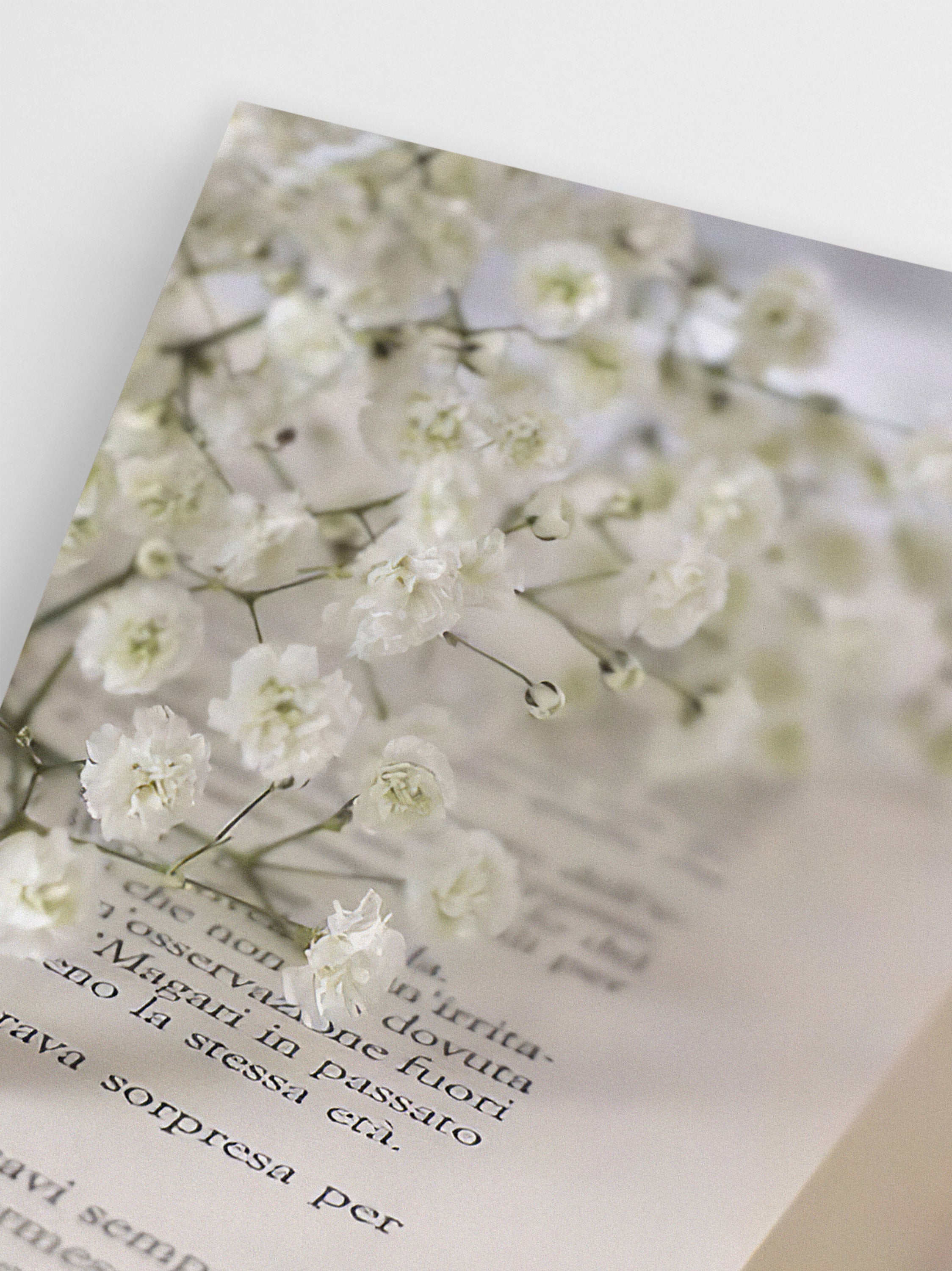 Baby’s Breath wall art