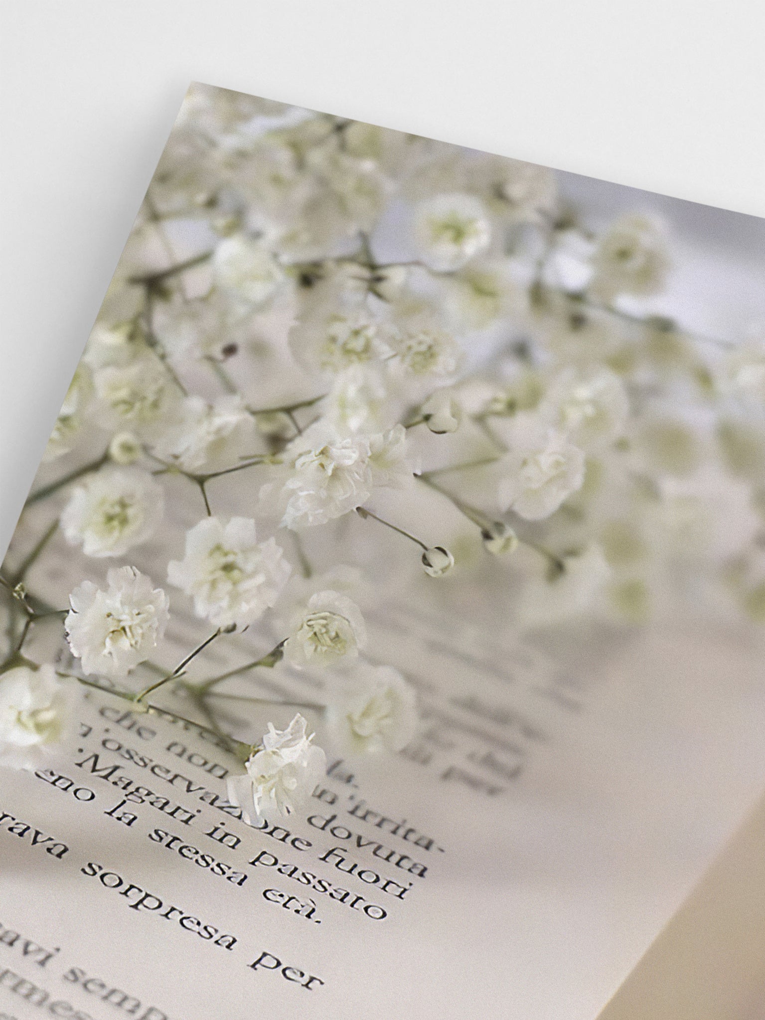 Baby’s Breath wall art