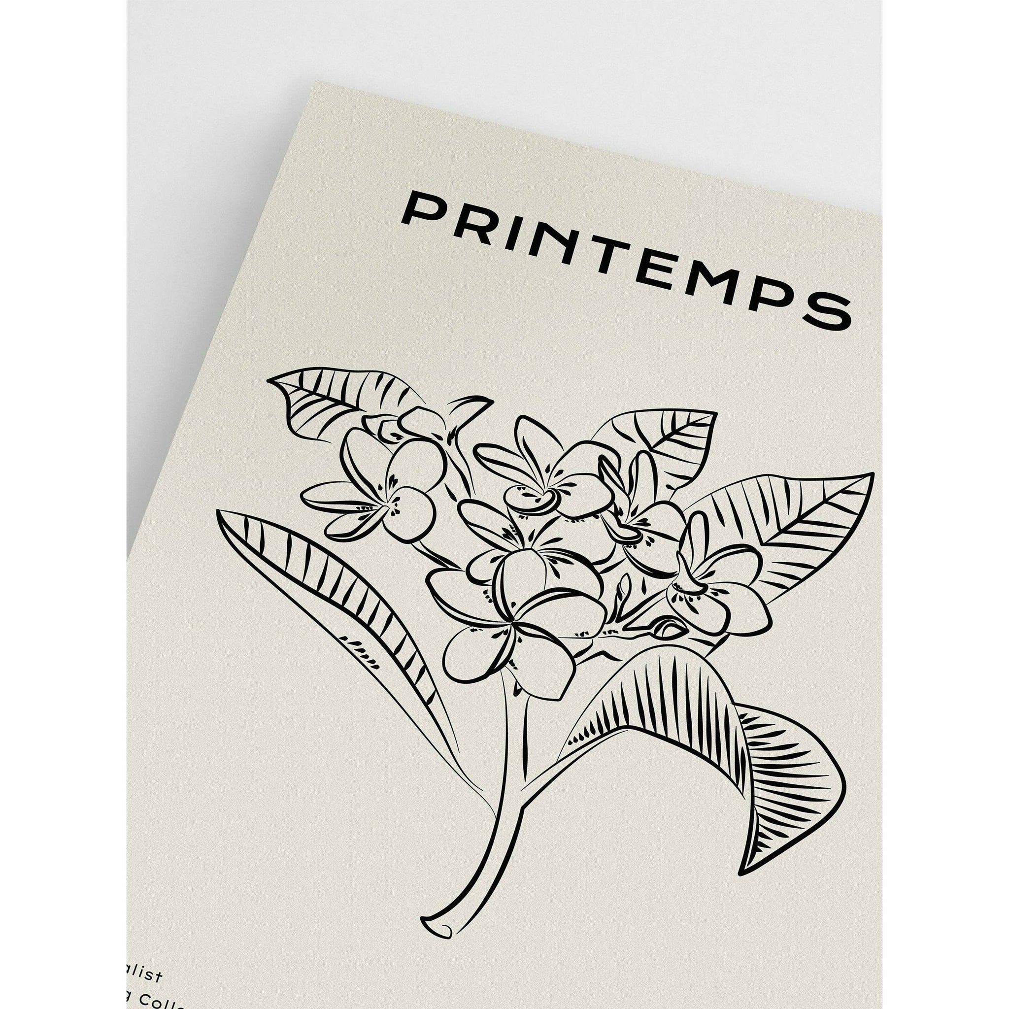 Plumeria Poster