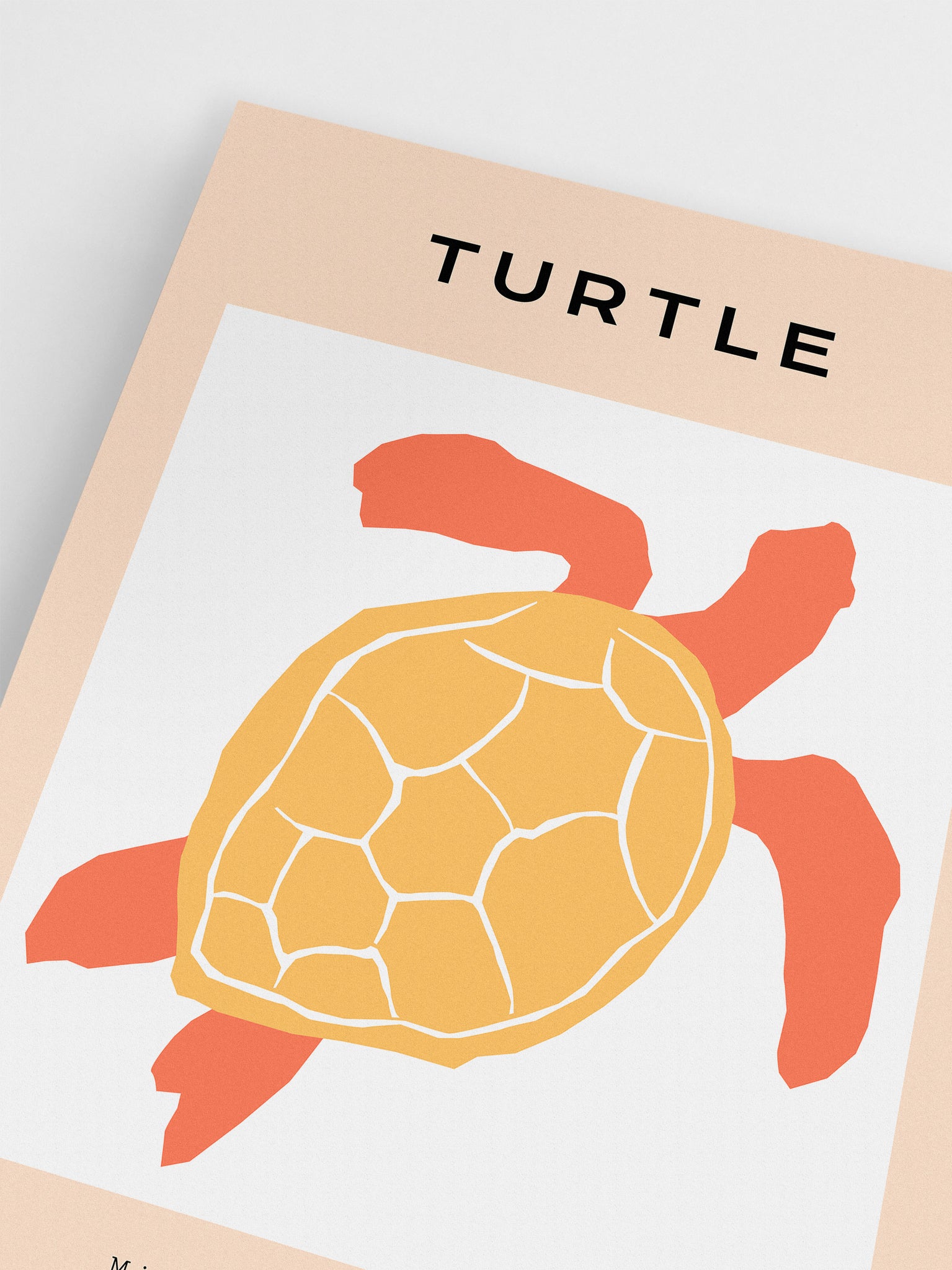 Ocean Life: Turtle Wall Art