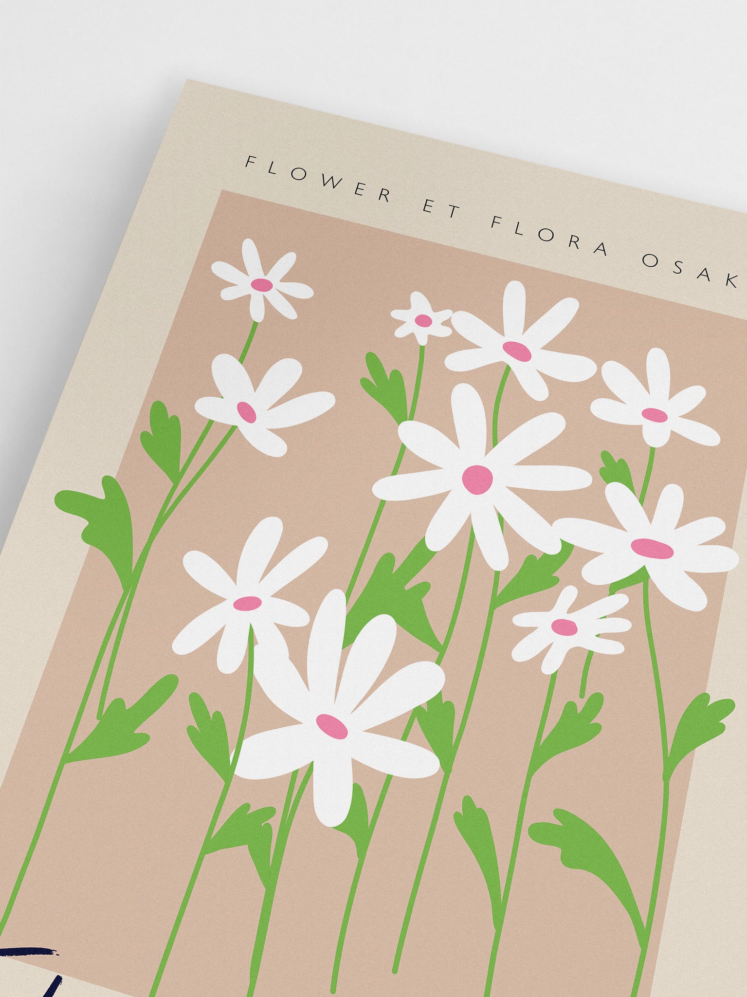 Abstract Minimalist White Flowers