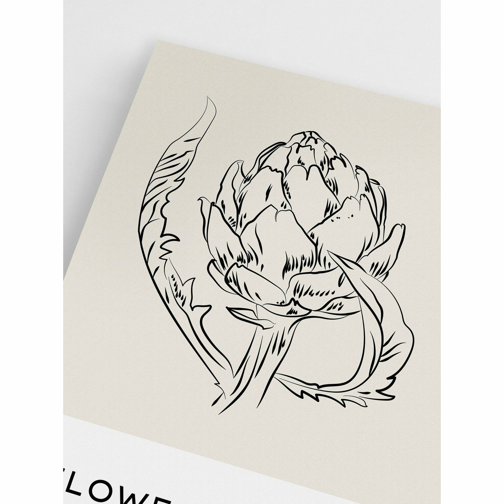 Artichoke Flower Wall Art