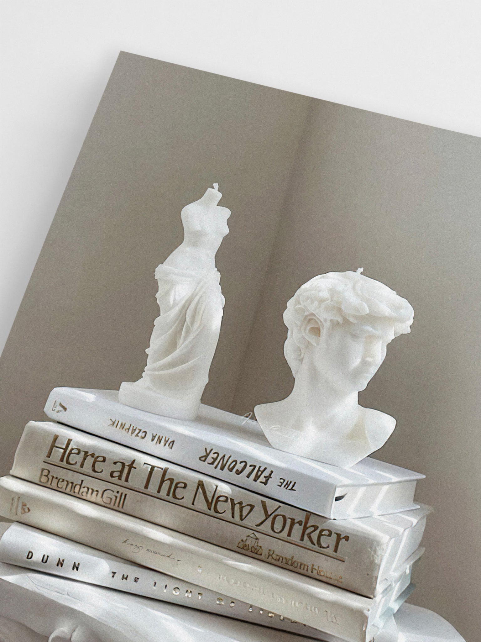Books & Busts wall art