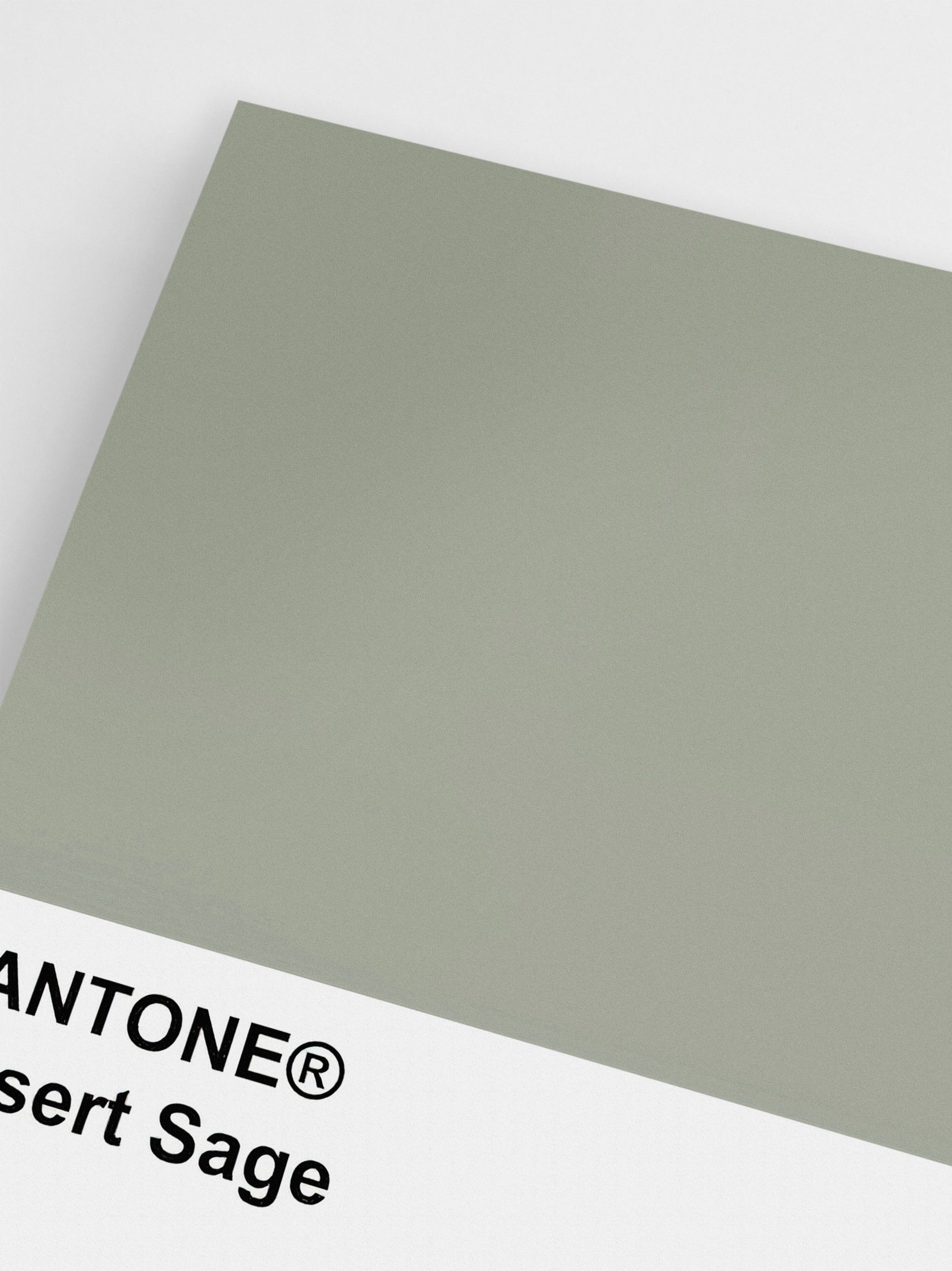 Pantone Desert Sage Poster