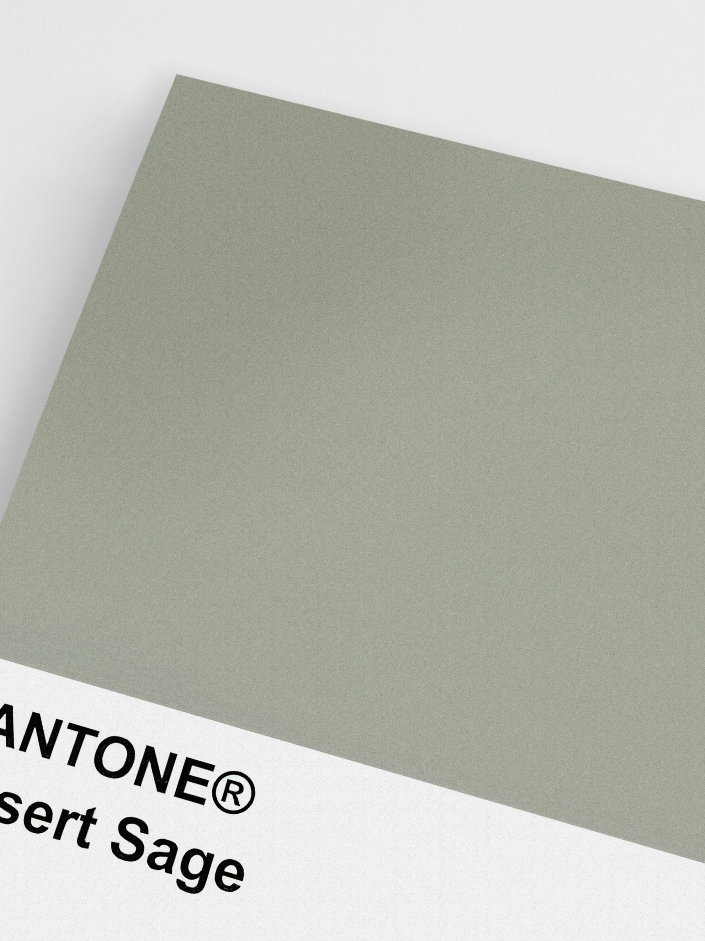Pantone Desert Sage Poster