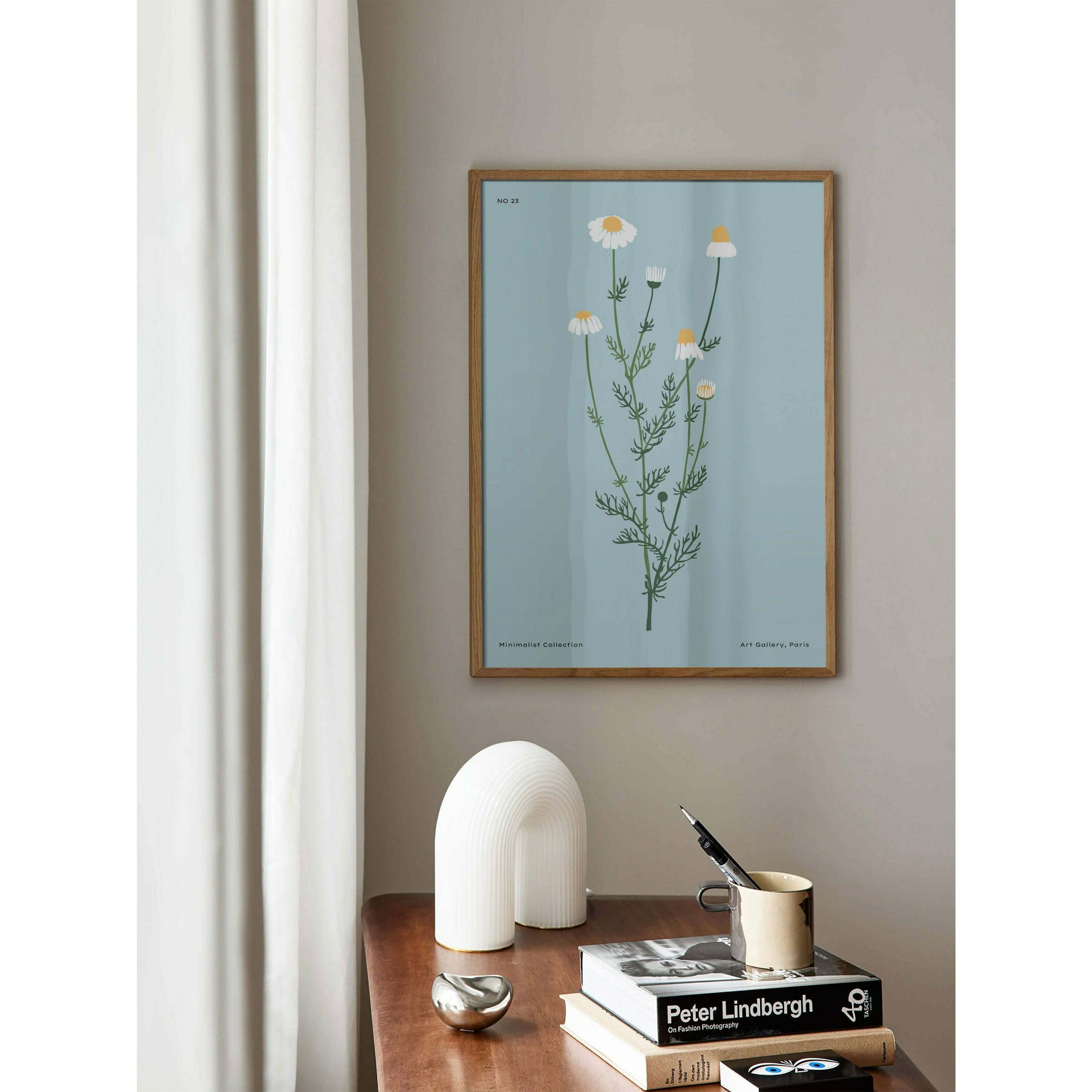 White Daisy Botanical Wall Art
