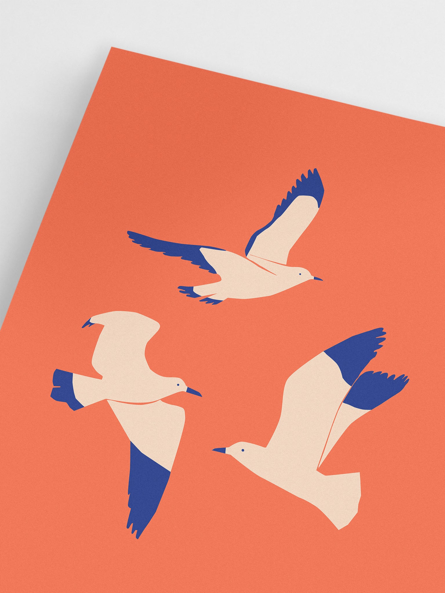 Abstract Seagulls Art