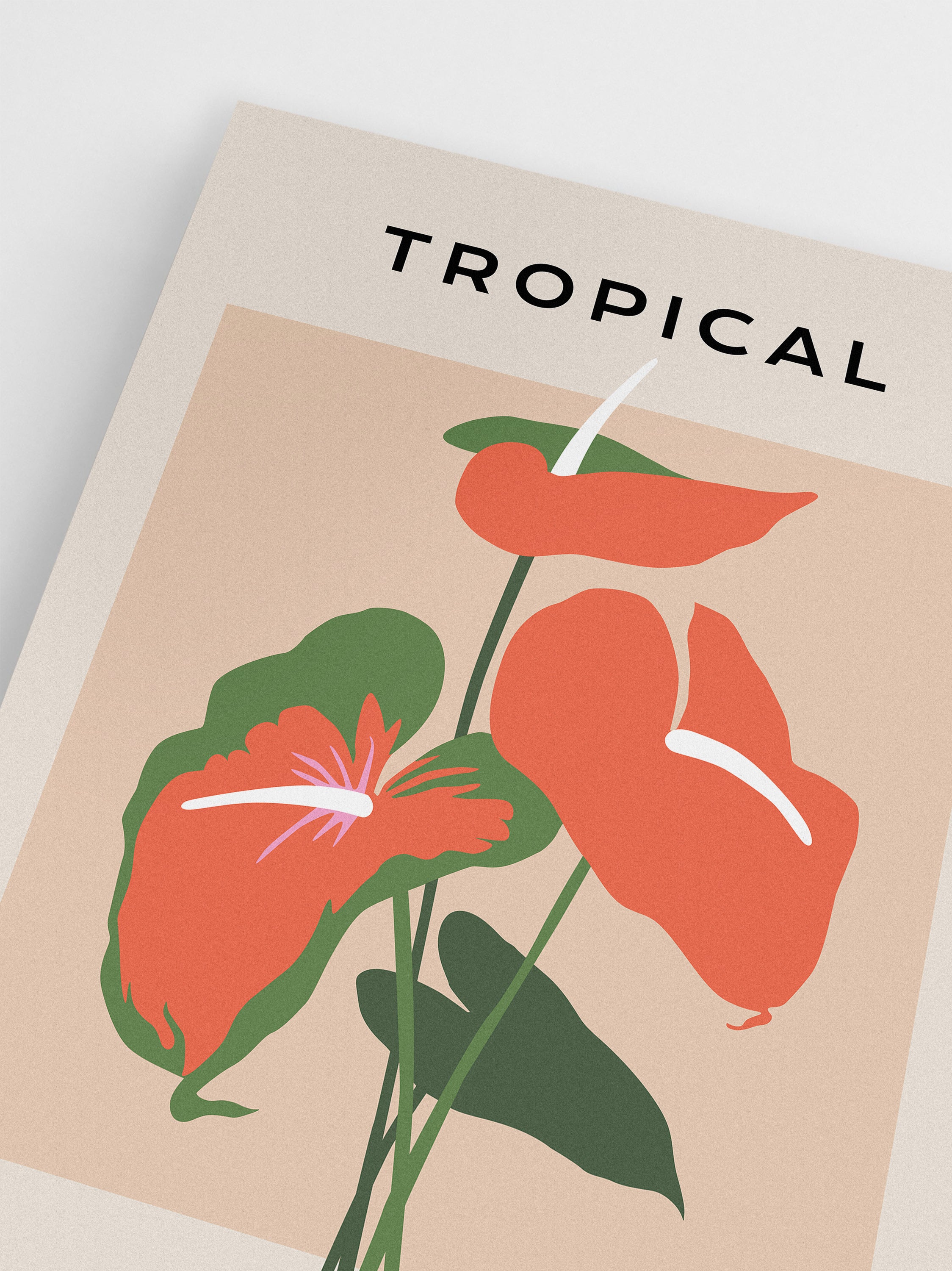 Anthurium Laceleaf  Poster