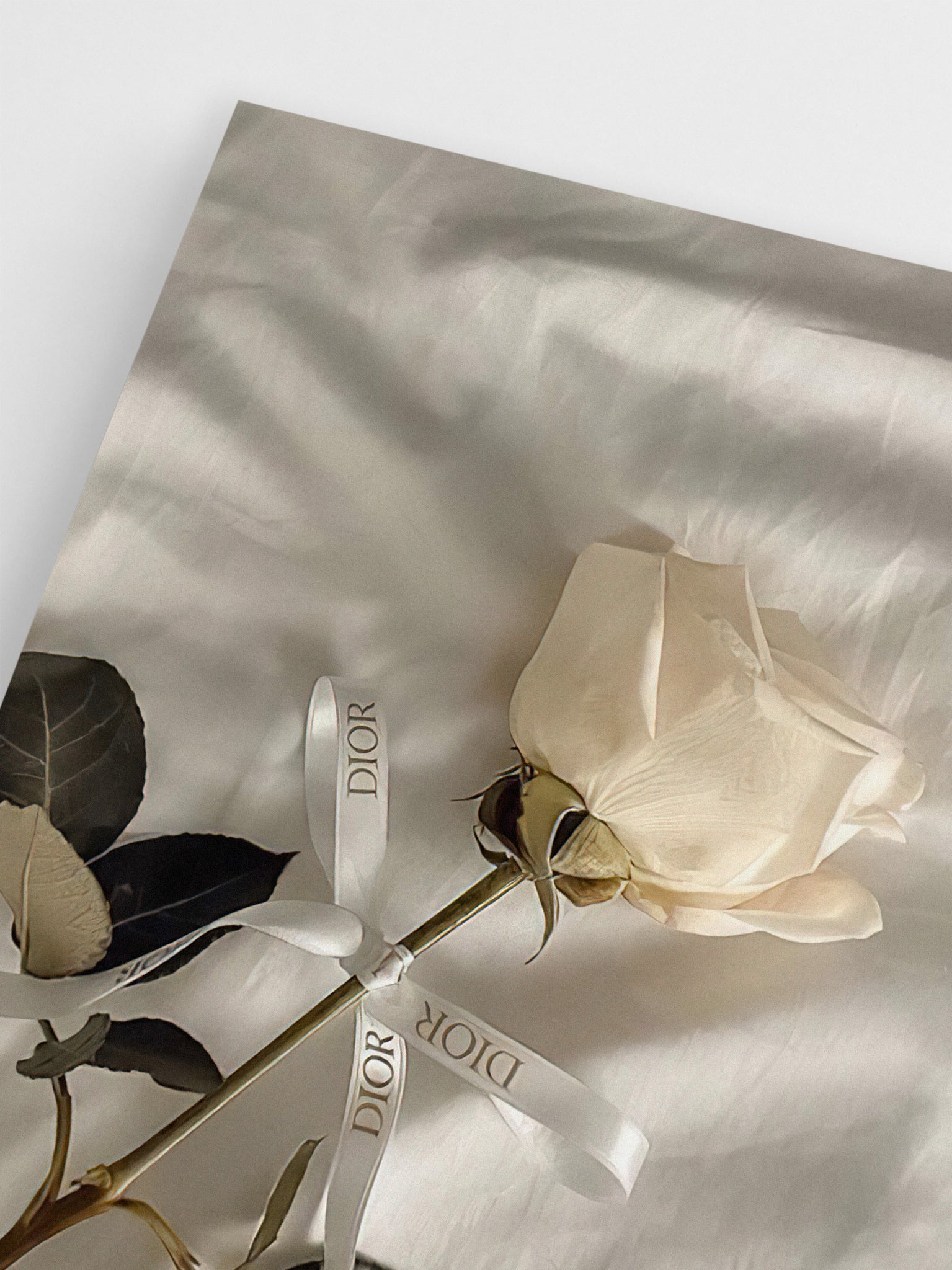Dior Rose wall art