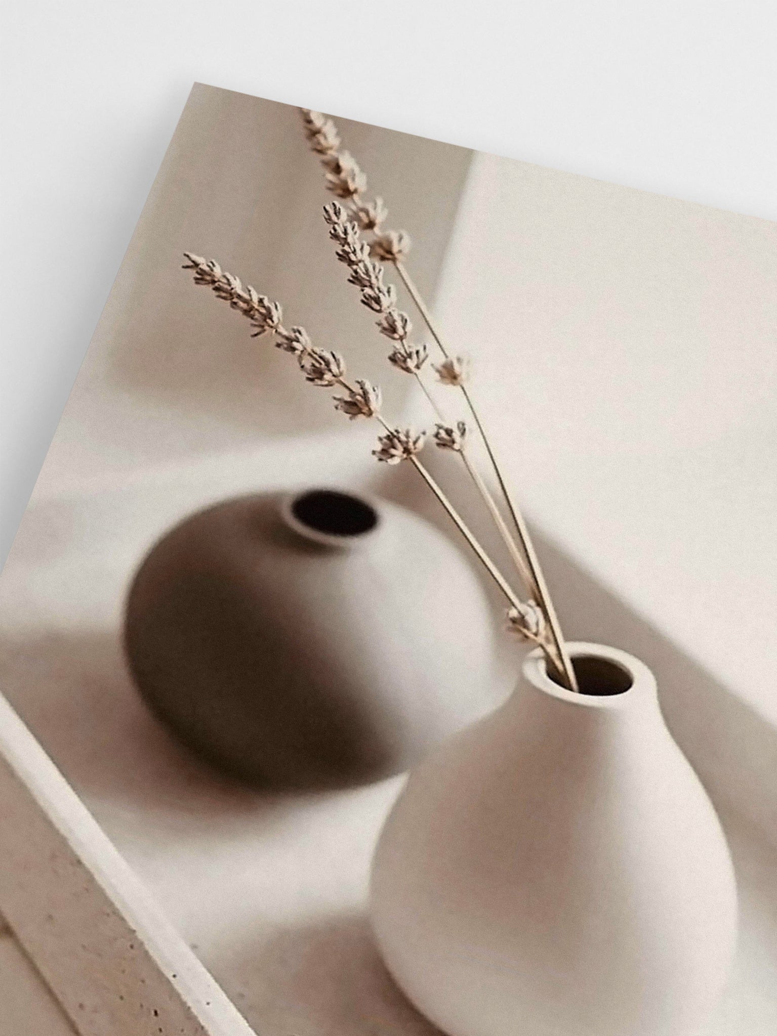 Black & White Vases wall art