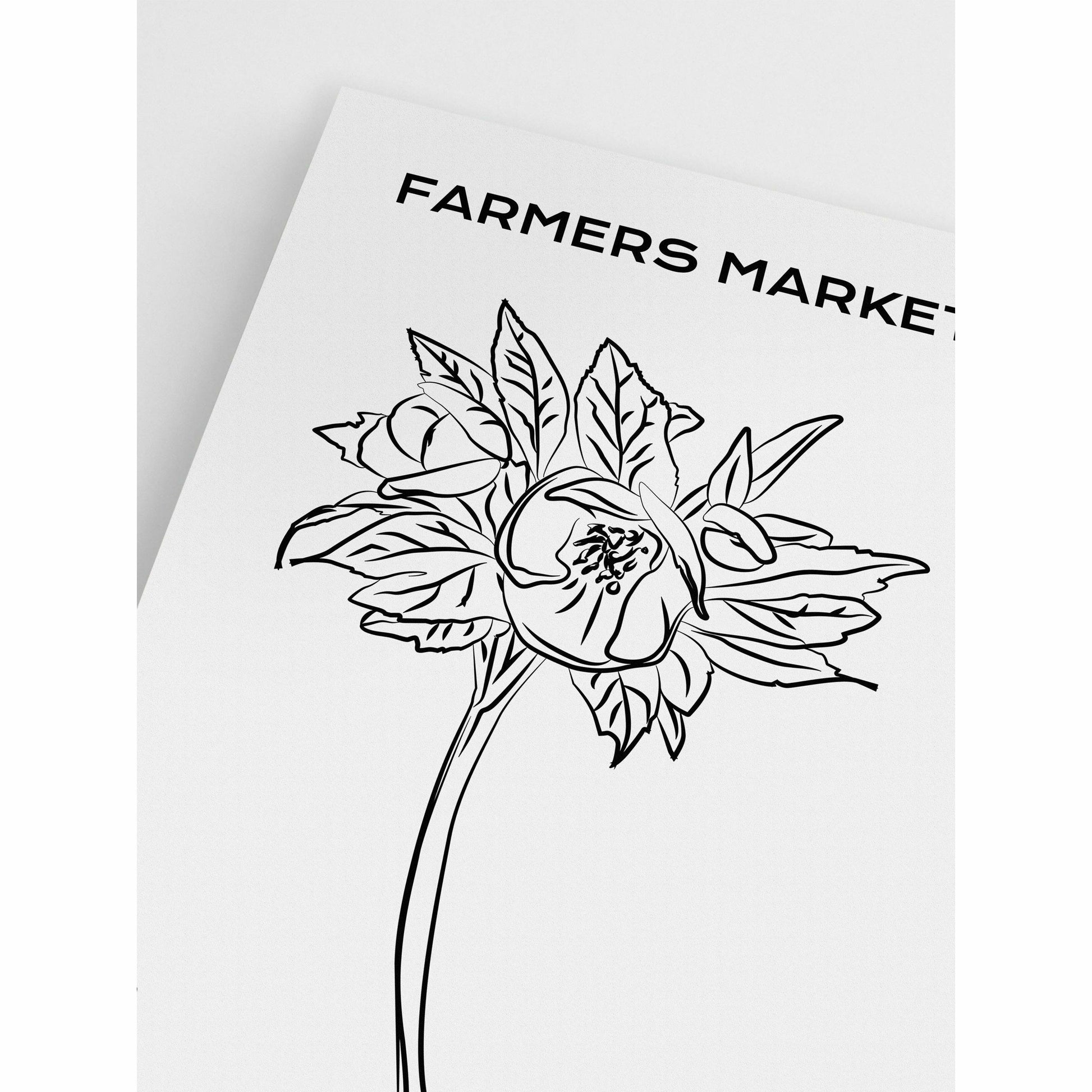 Farmer’s Market Peonies