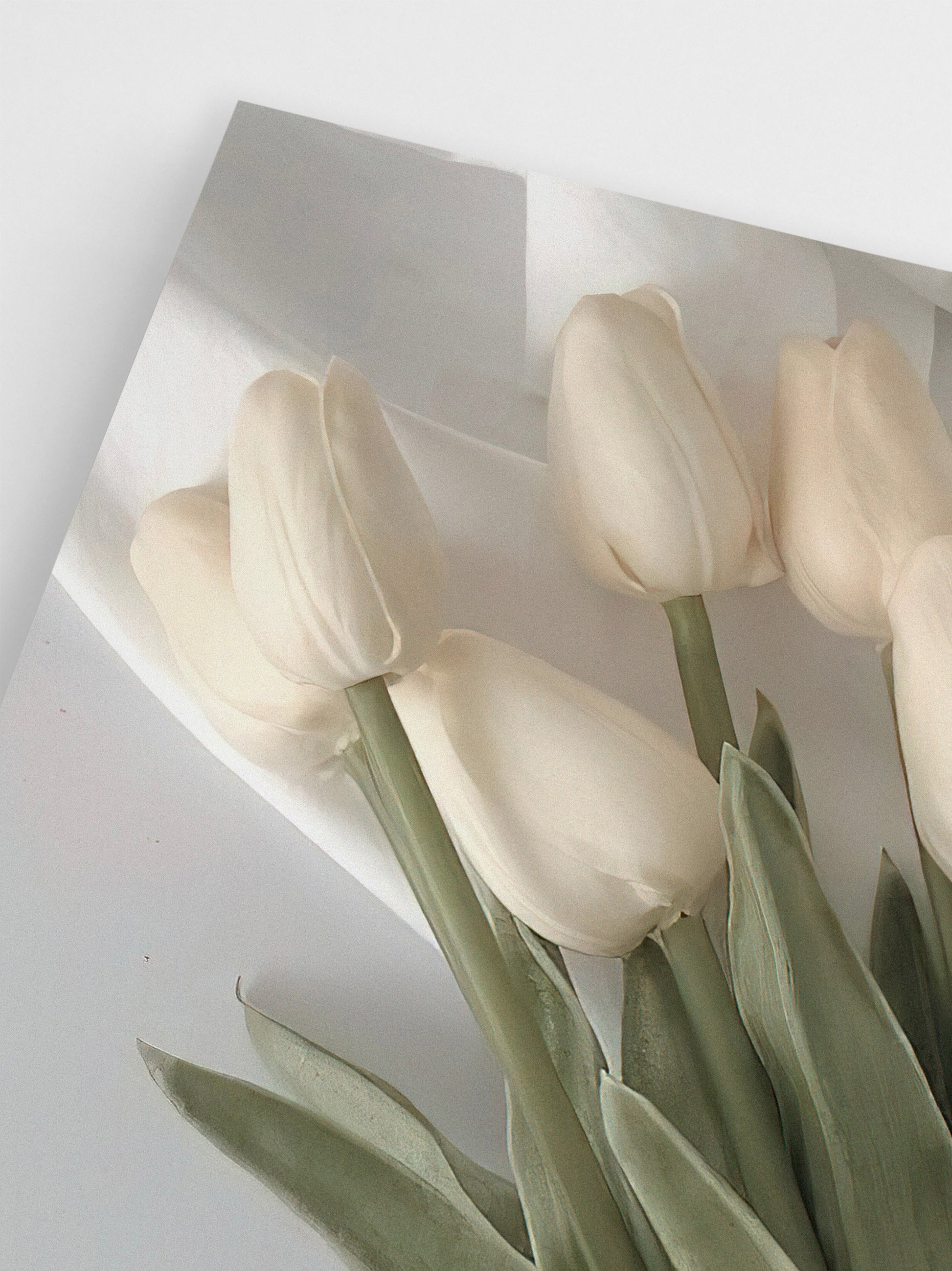 Beige Tulips wall art