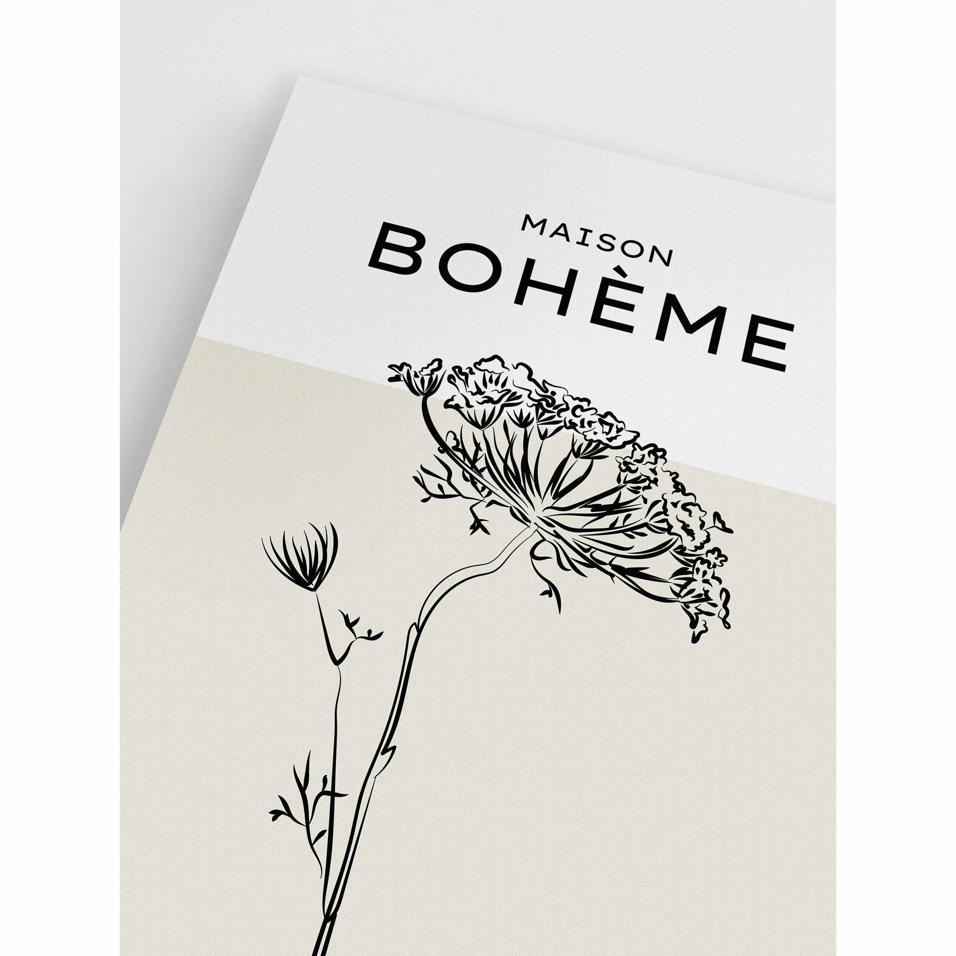 Beige Wildflower Drawing