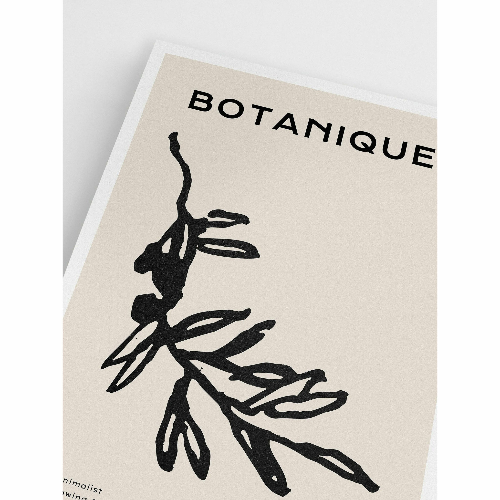 Botanique Stems