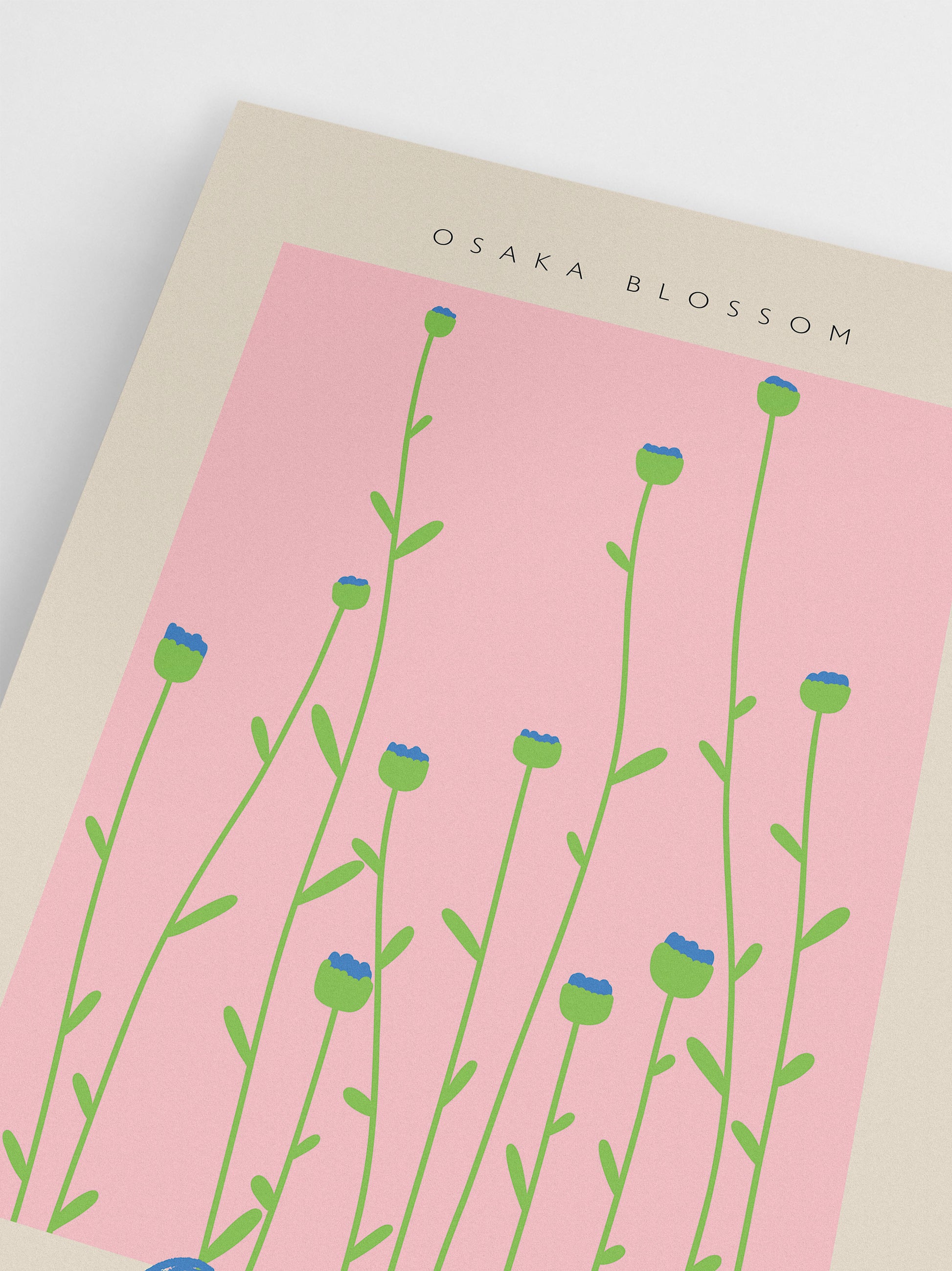 Osaka Blossom