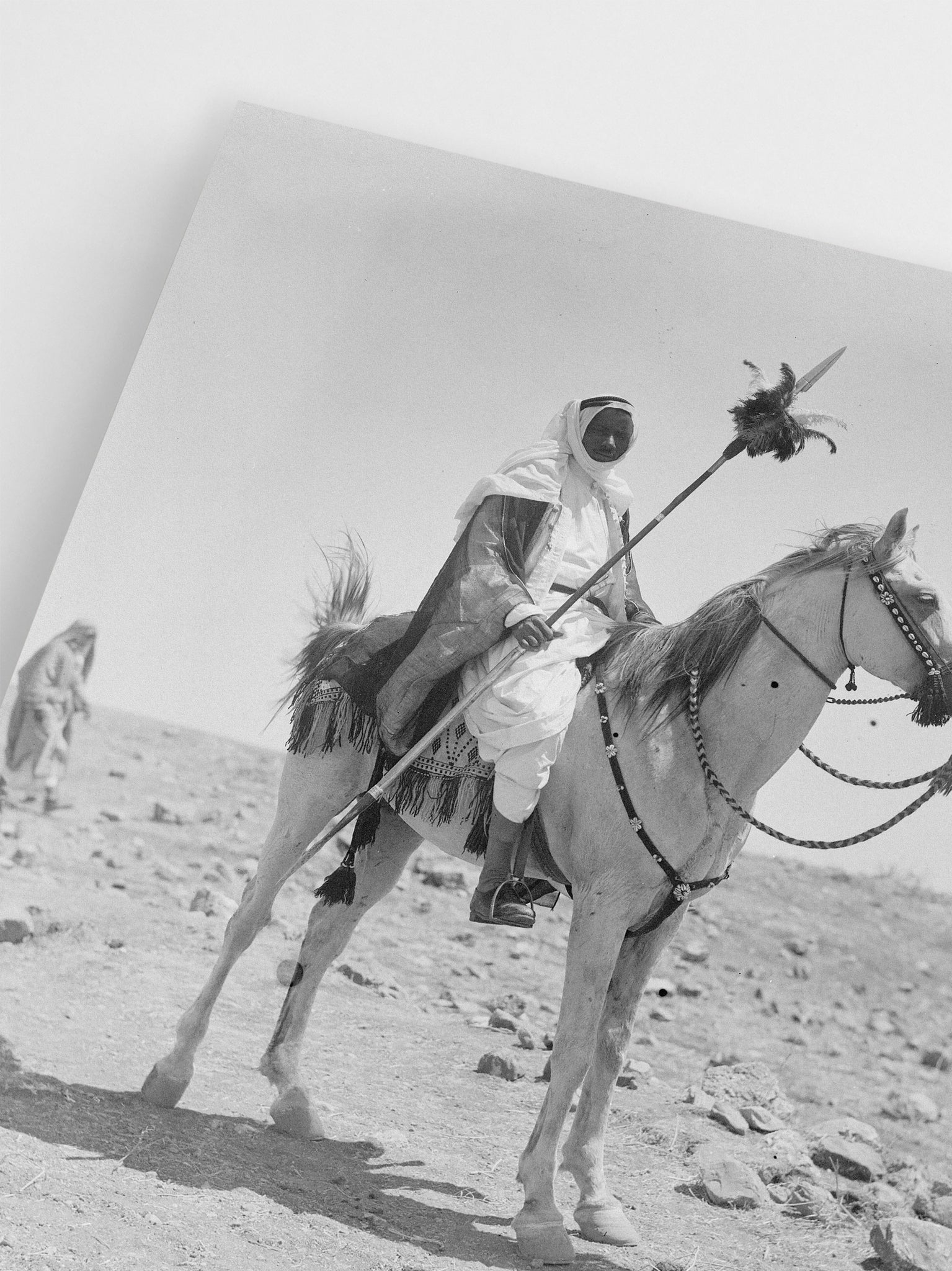 Desert Warrior wall art