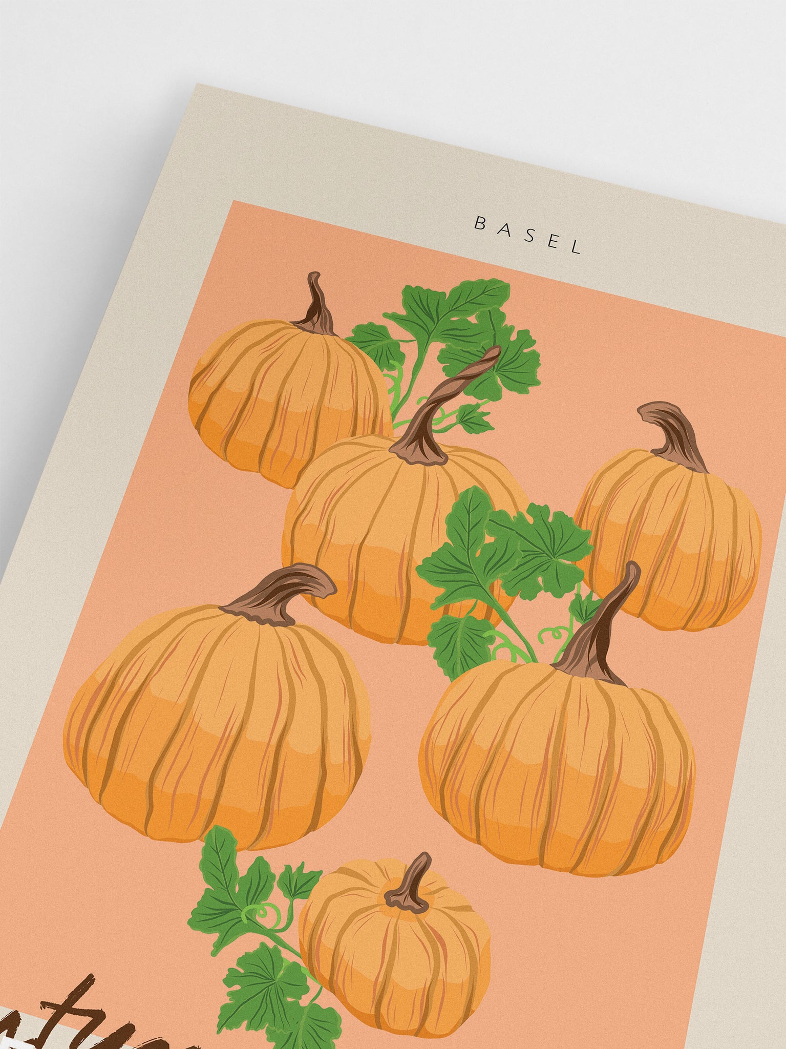 Autumn Gallery: Pumpkins