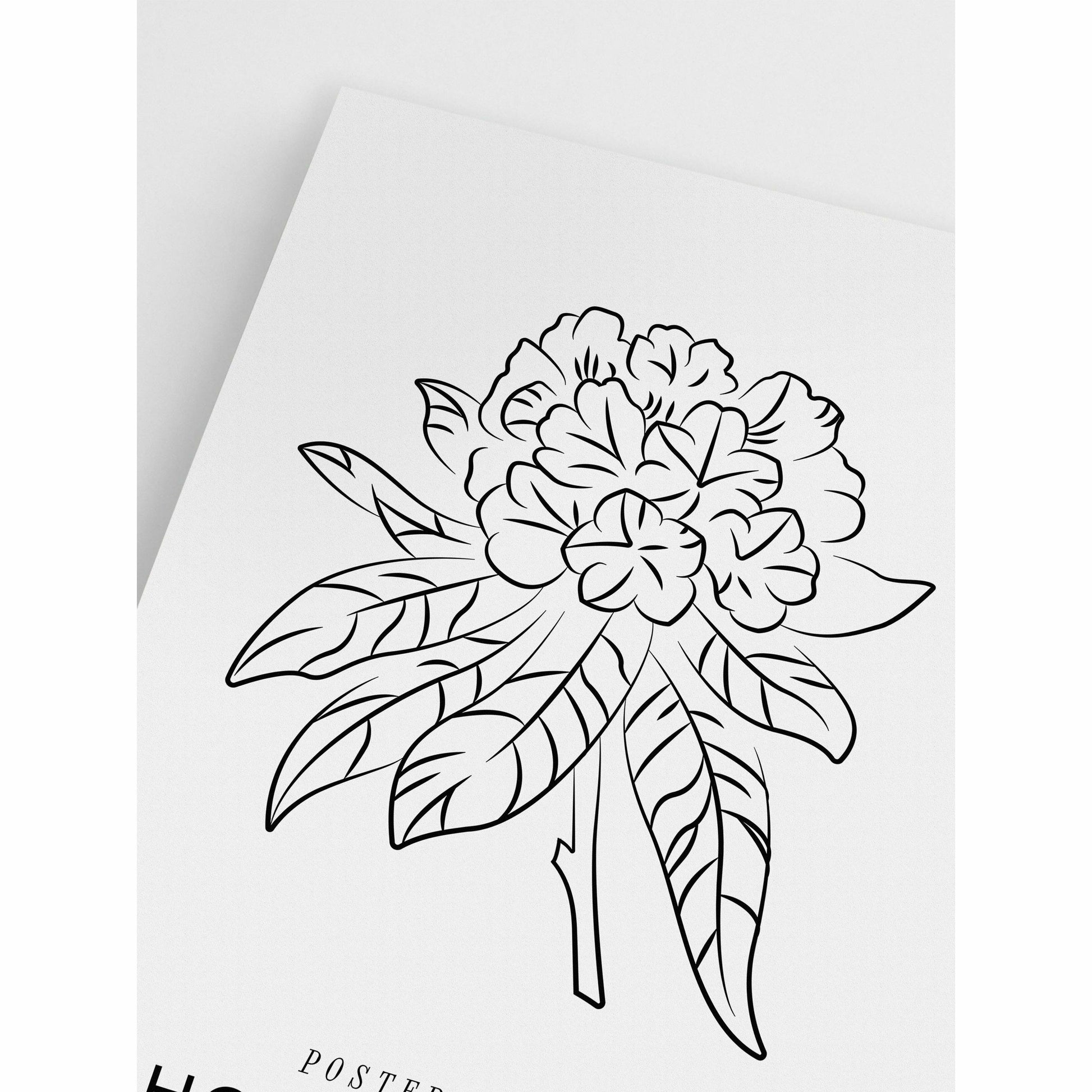 Rhododendron Poster