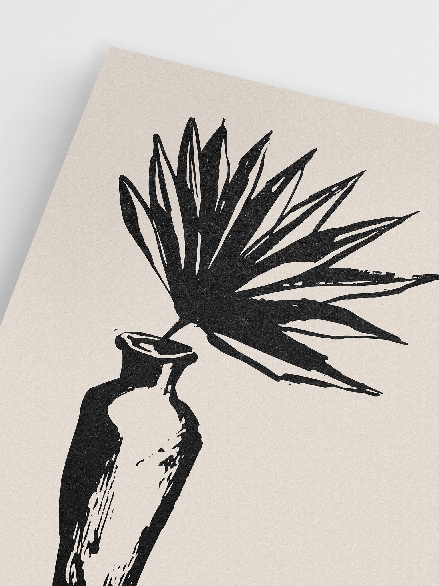 Black & White Plant