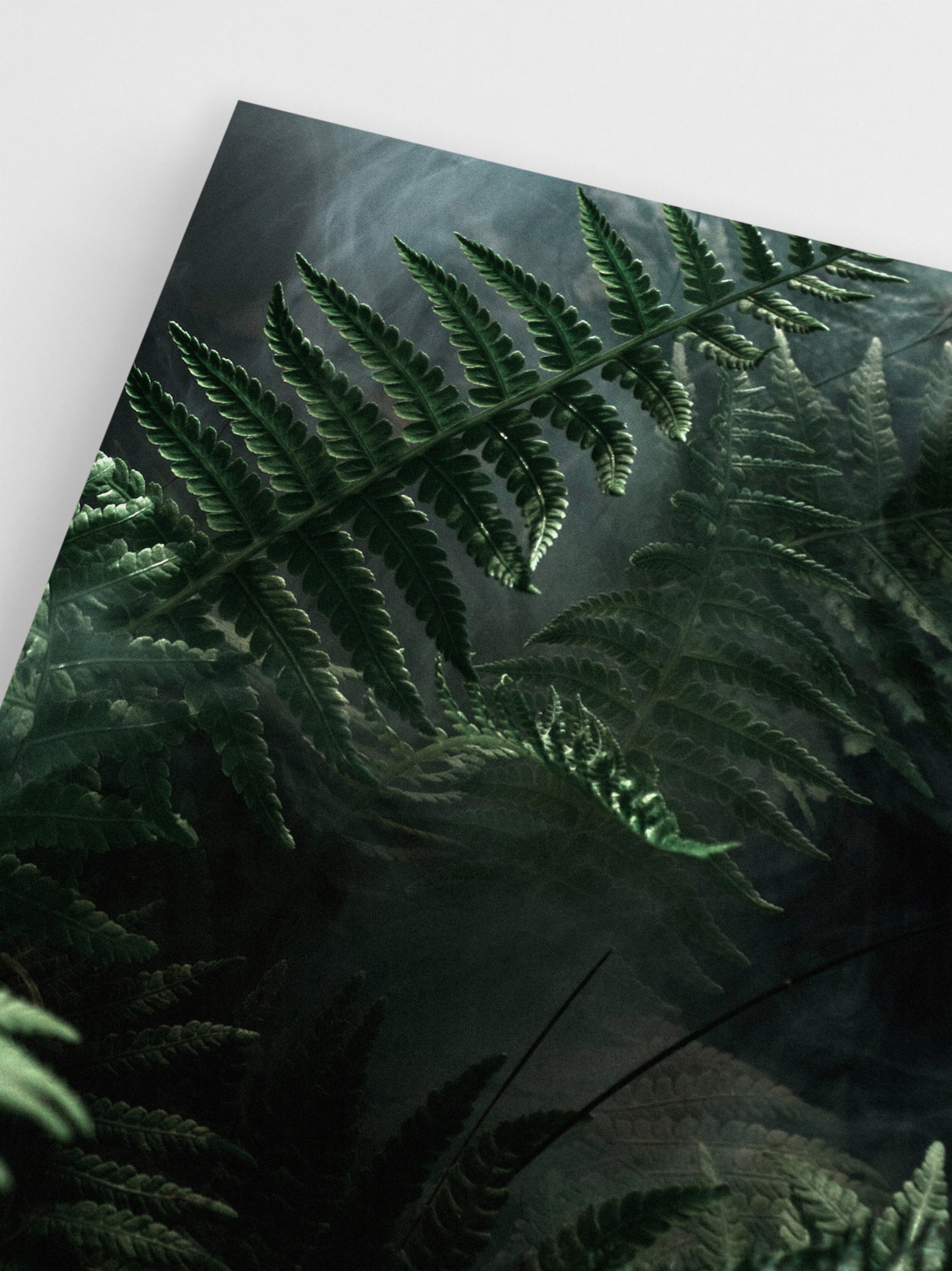 Jungle Ferns wall art