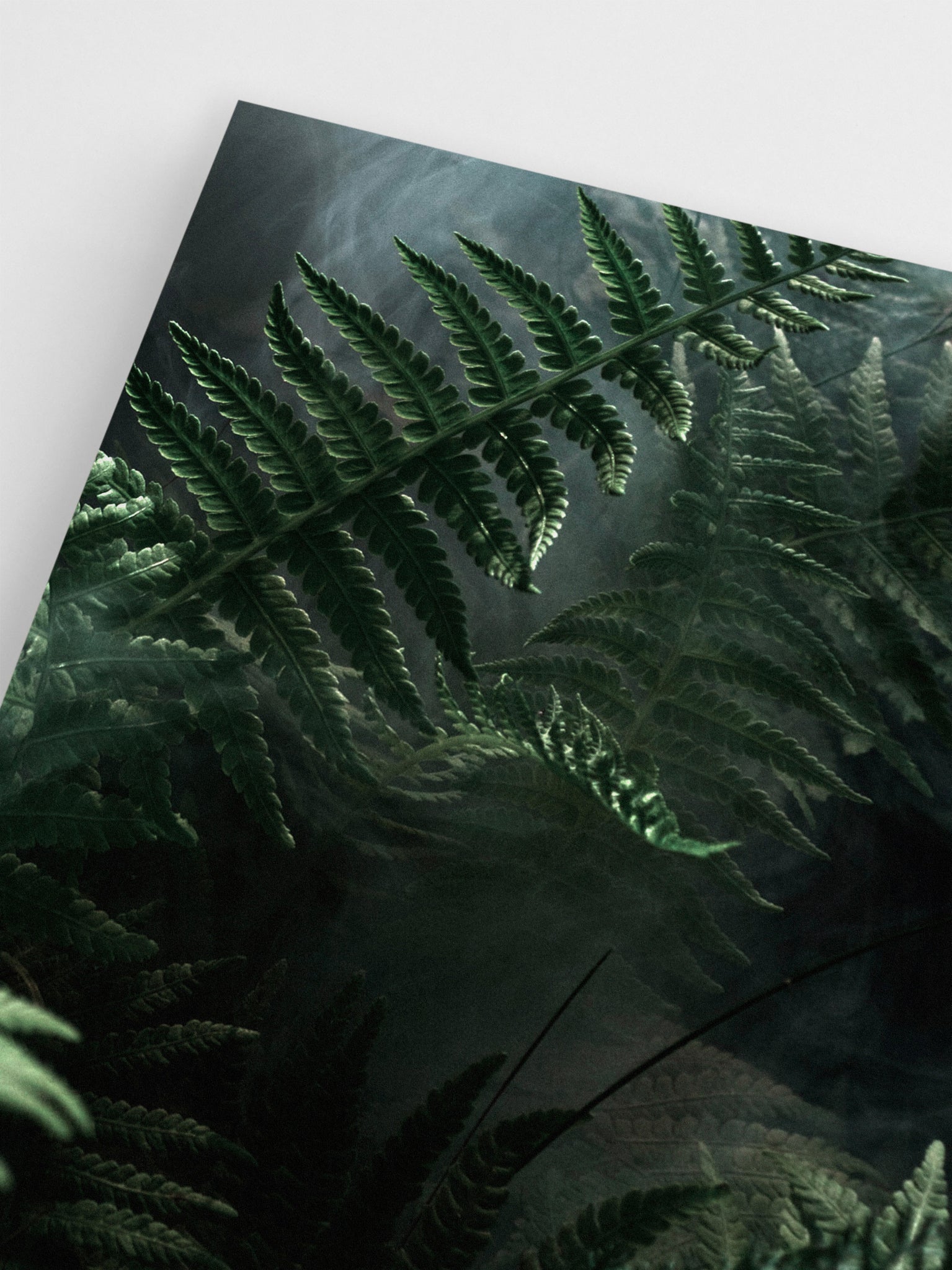 Jungle Ferns wall art