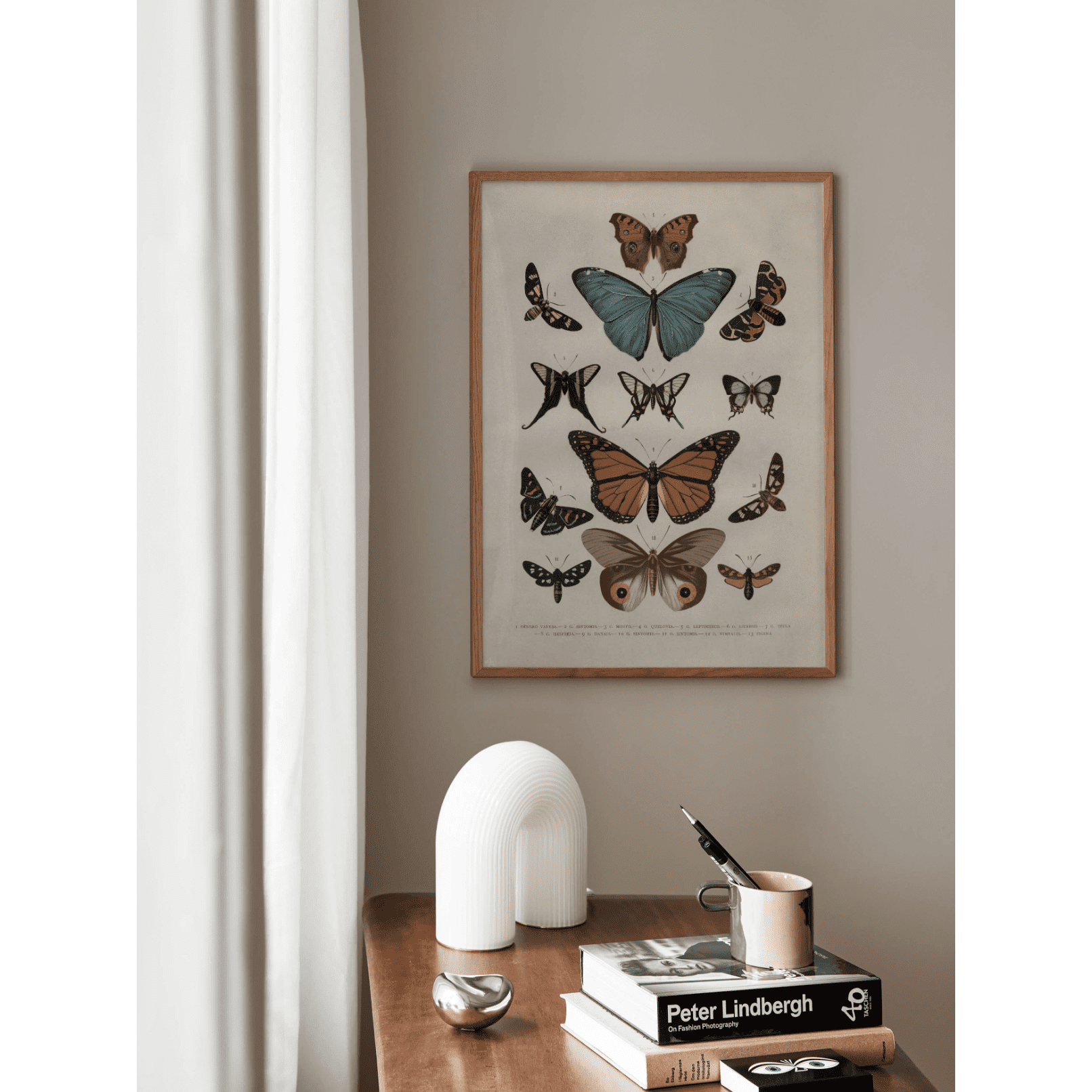 Vintage Butterflies Poster