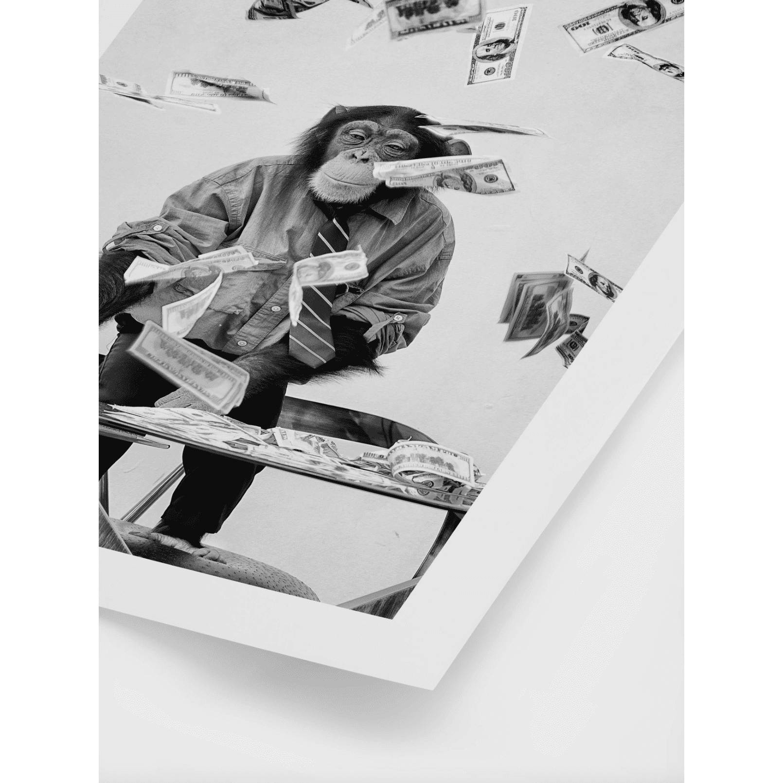 Monkey Poster