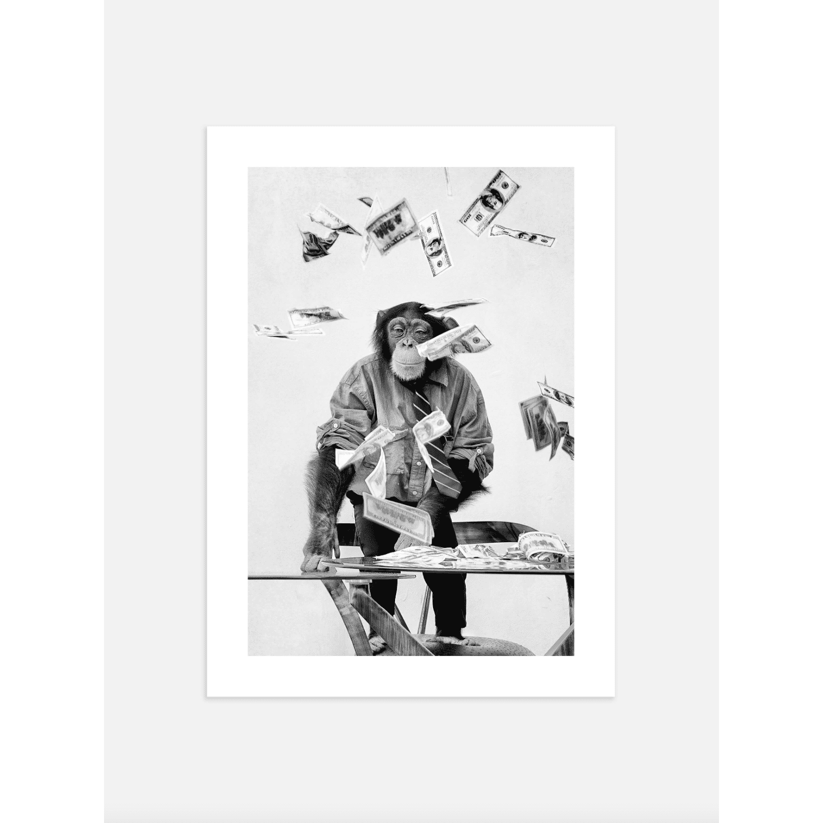 Monkey Poster