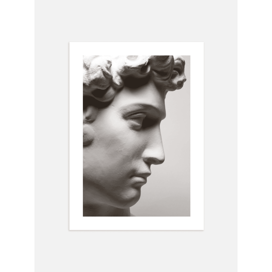 David Bust Poster