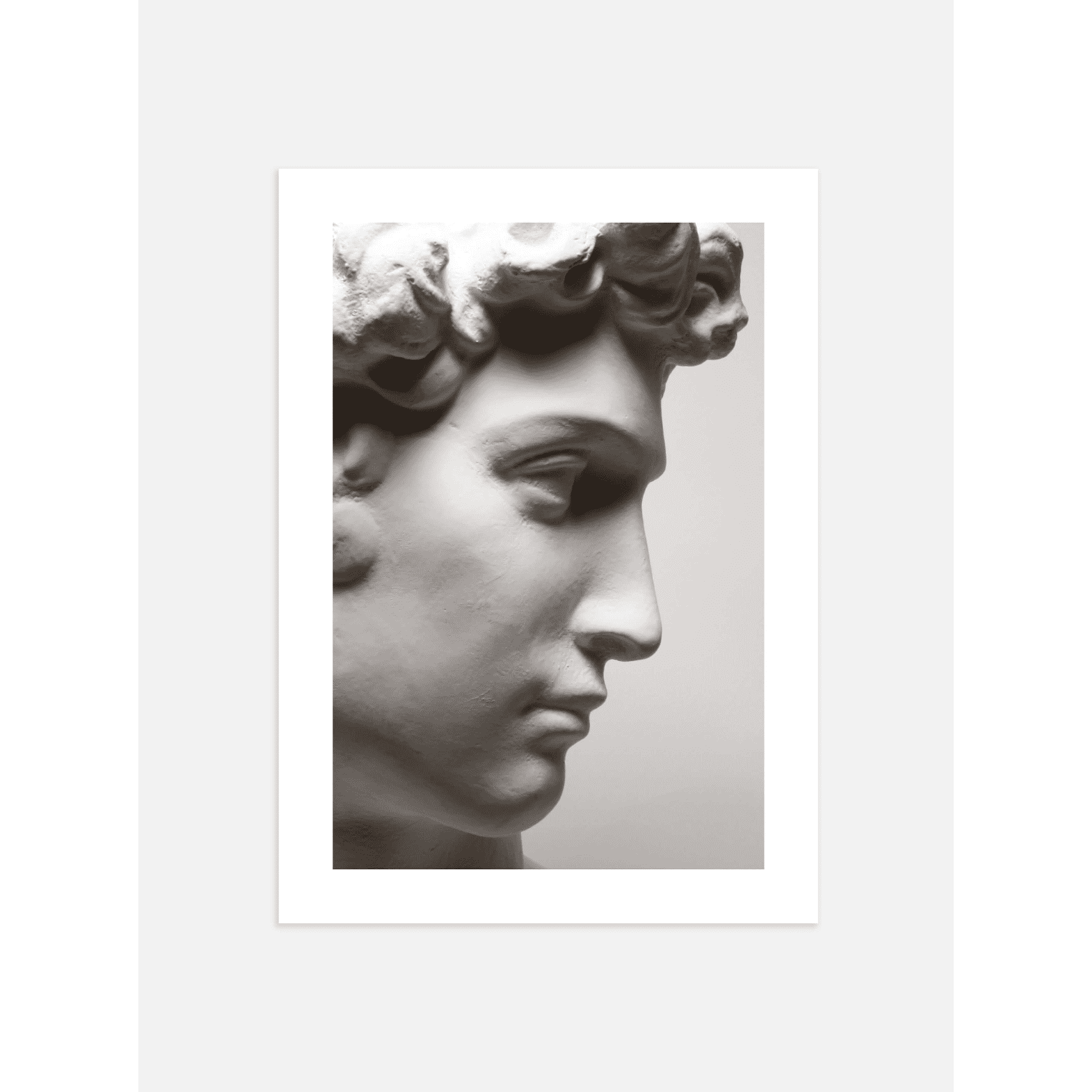 David Bust Poster