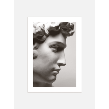David Bust Poster