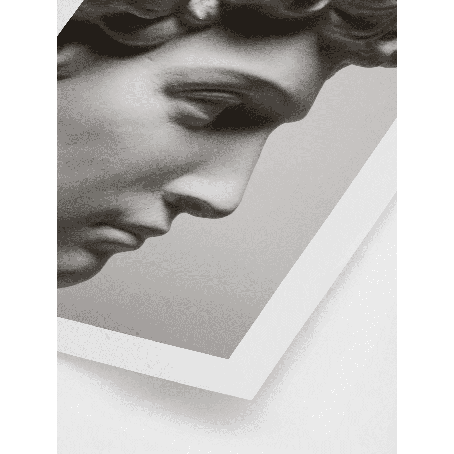 David Bust Poster