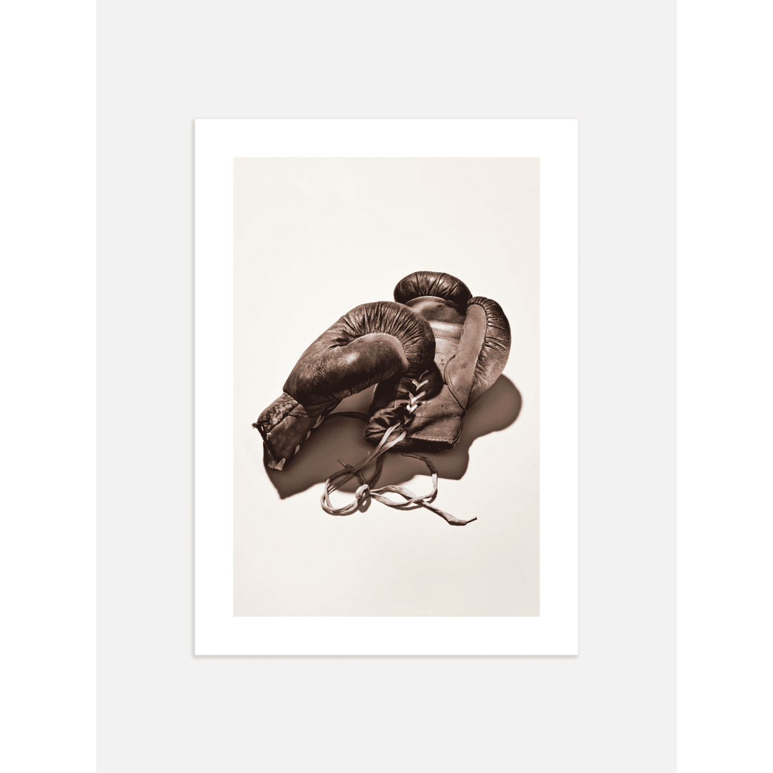 Brown Boxing Gloves Poster
