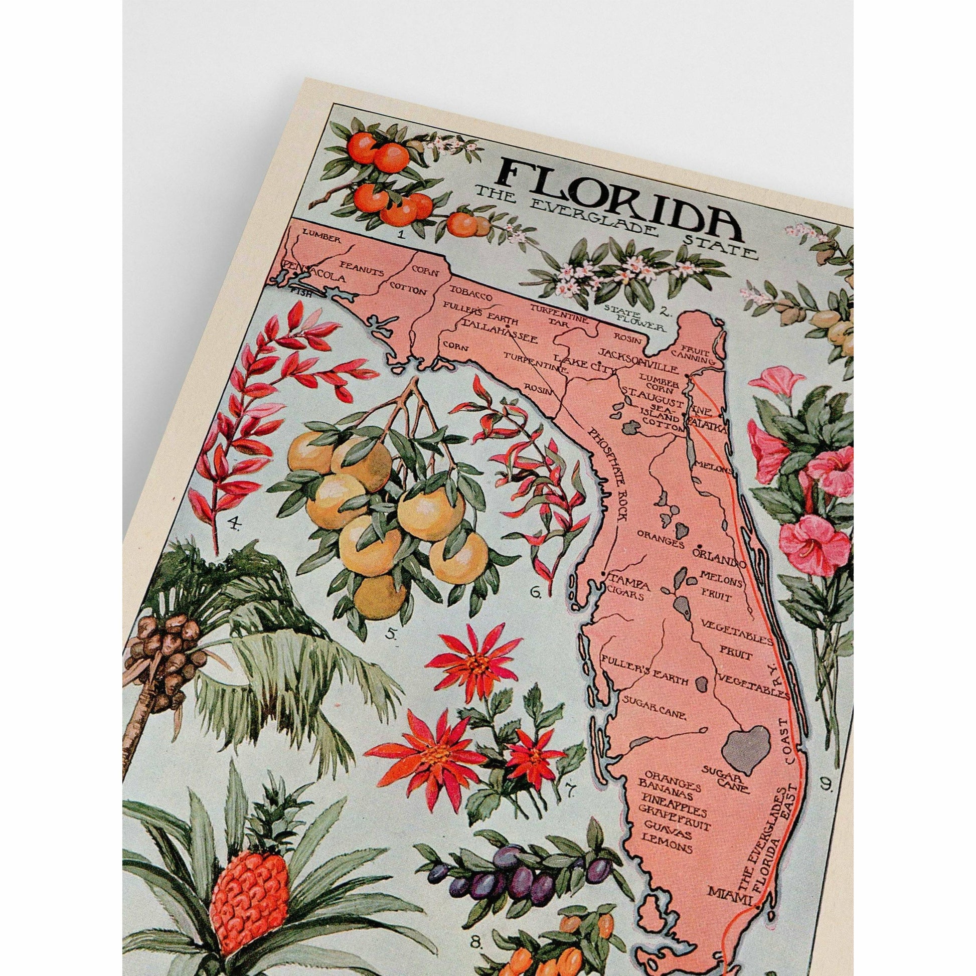 Printable vintage travel poster of Florida, featuring historical map design from 1917